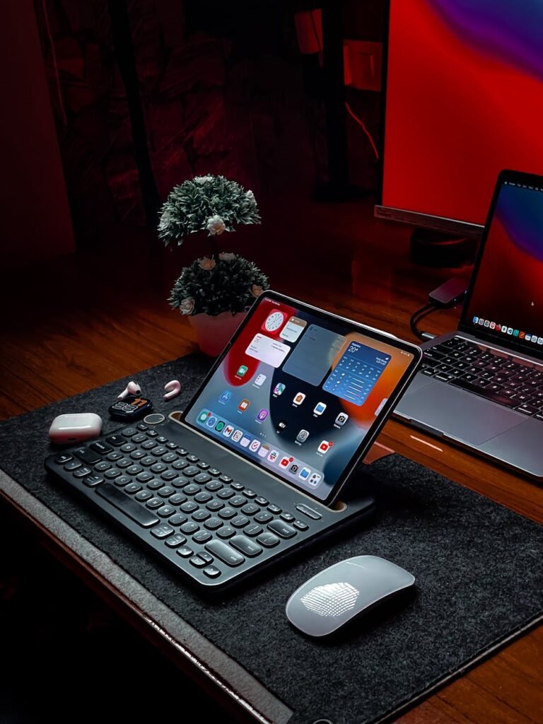 cat travel accessories