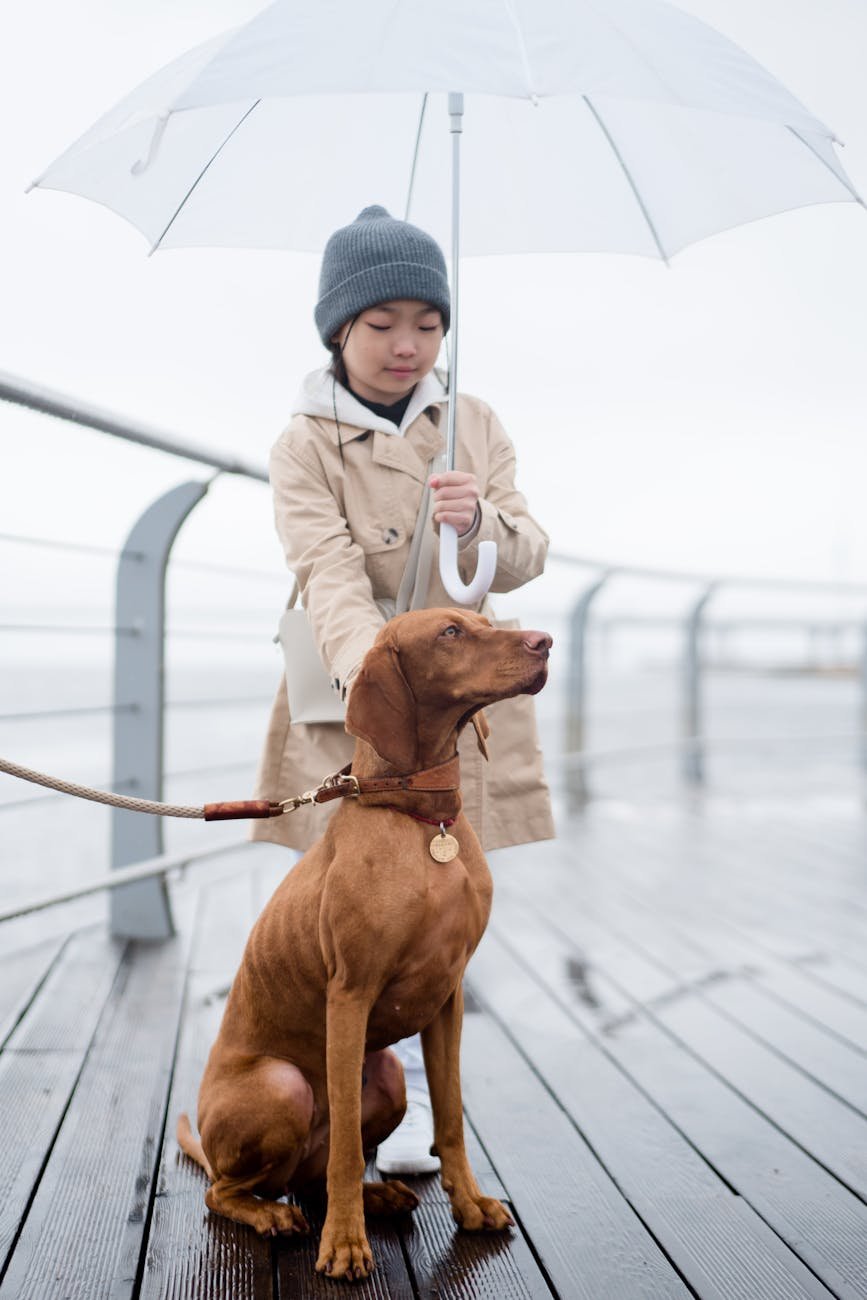 pet travel umbrella