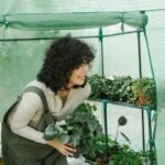 plastic-free cleaning solutions